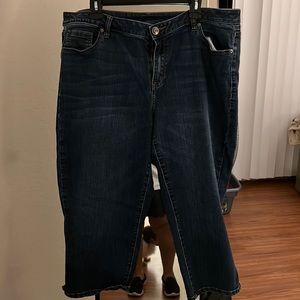 Lane Bryant Venezia 18W 18 Jean Capris